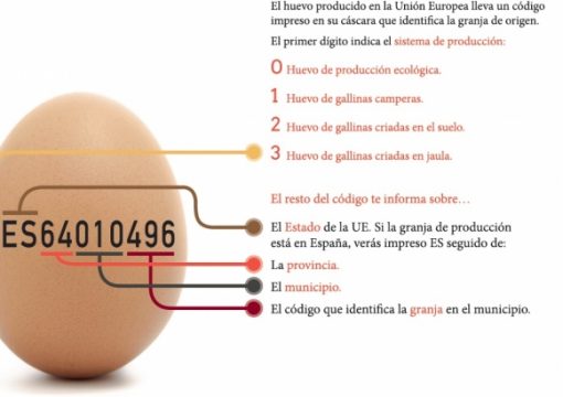 Aprende a diferenciar entre huevos ecológicos, camperos o de jaula con este vídeo